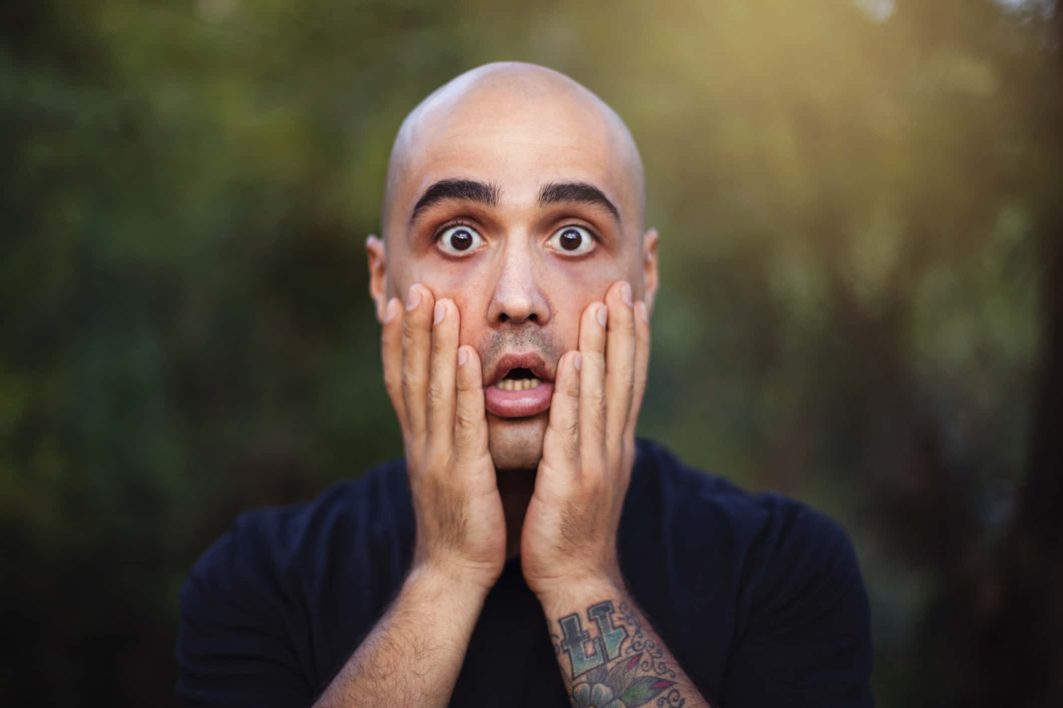 Late Night Hikers Facts