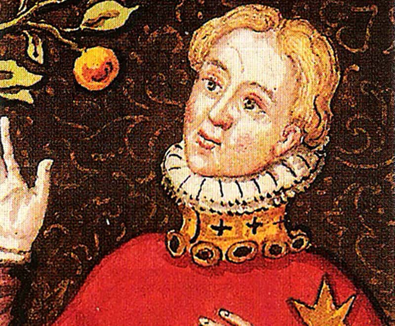 Charles VI Of France facts
