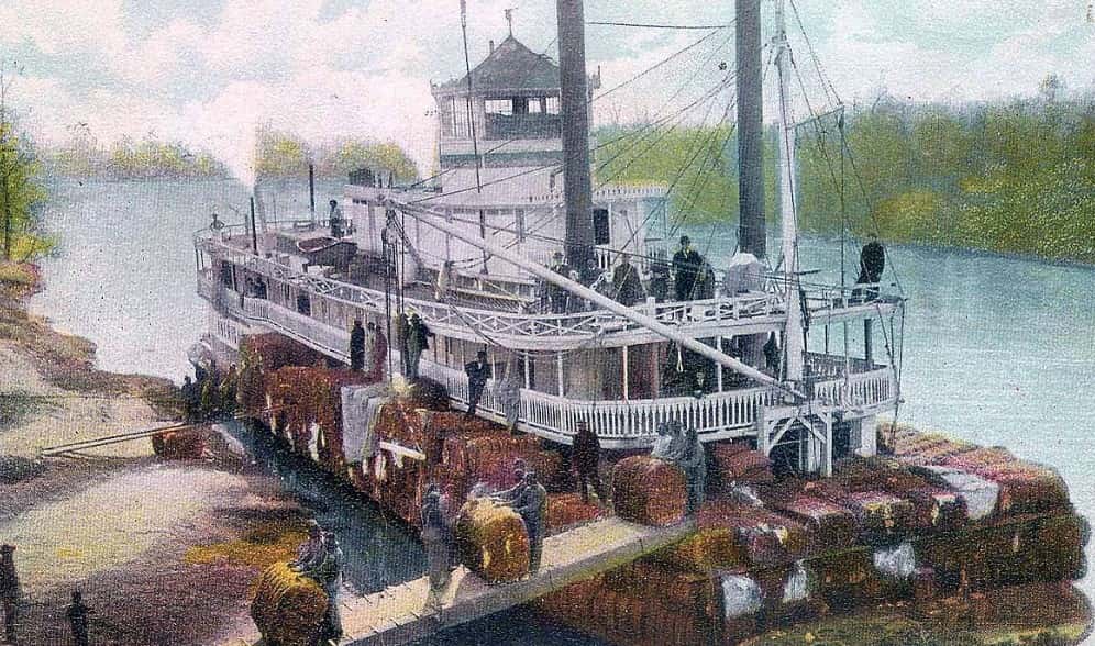 Tennessee Williams facts