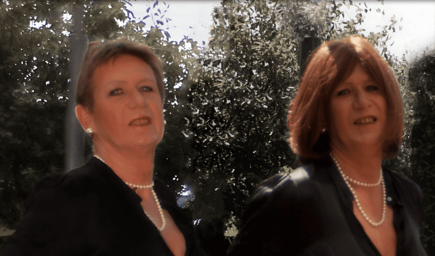 Identical Twin Stories Facts