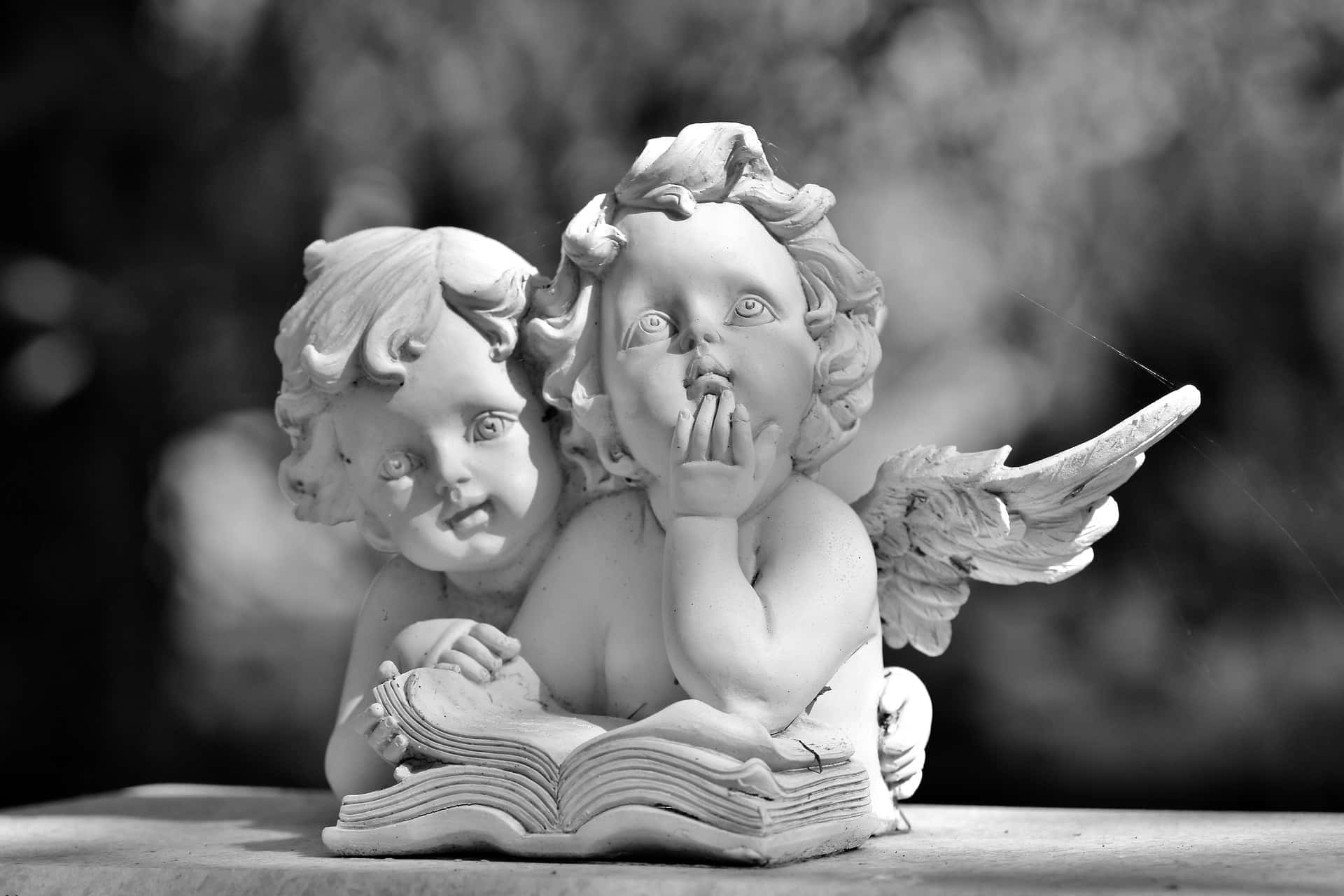 Emperor Commodus facts