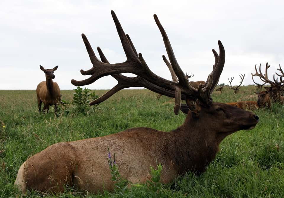 Stupidest Comments Facts