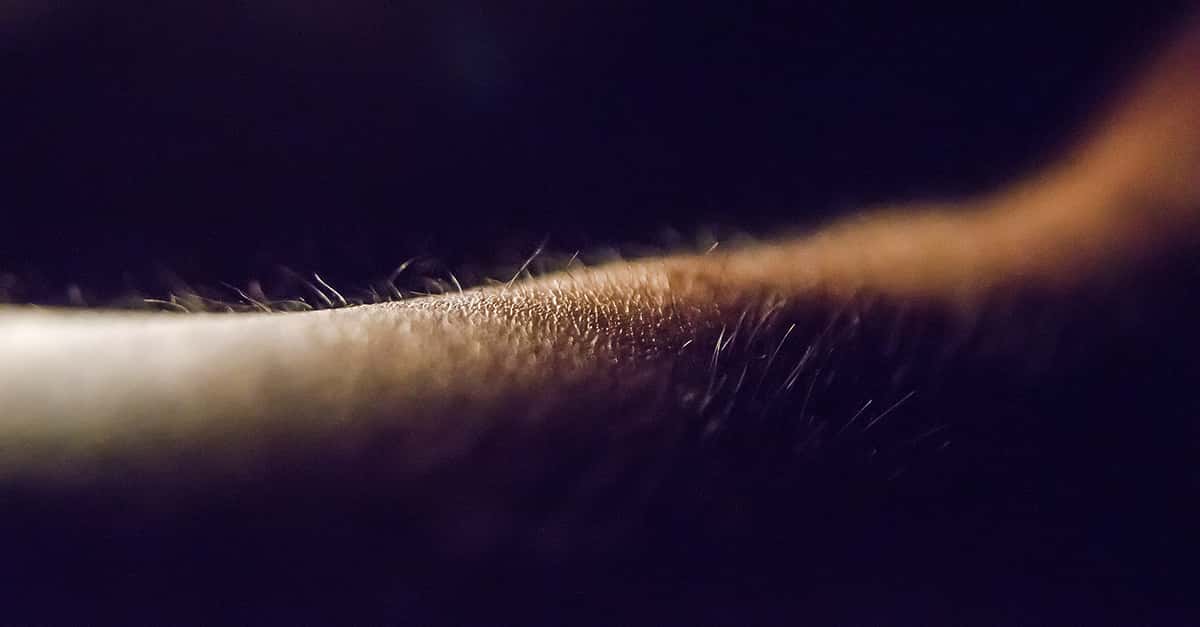 Why Do Men Have Nipples?