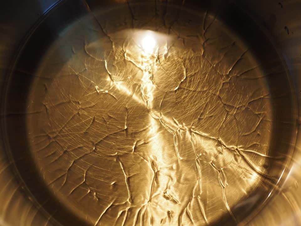 Shouldn’t Have Done That Facts