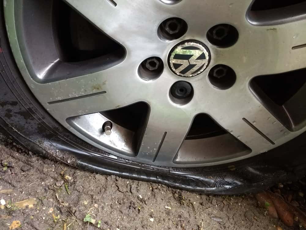 Late Night Hikers Facts