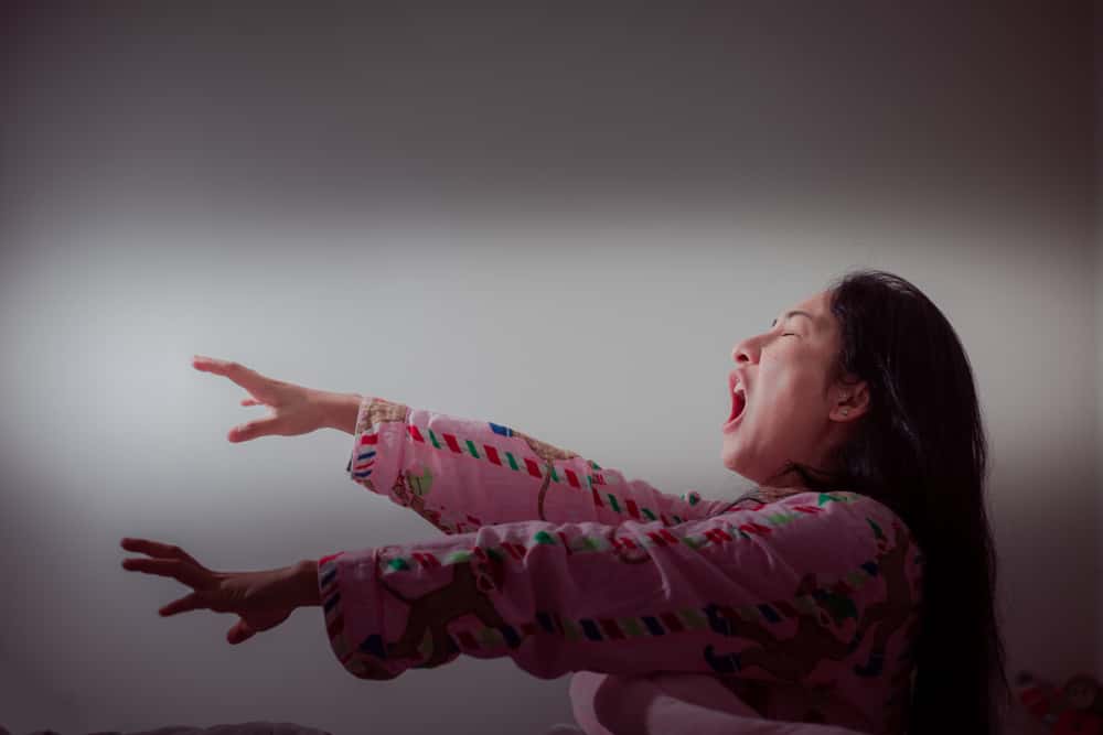 Late Night Hikers Facts