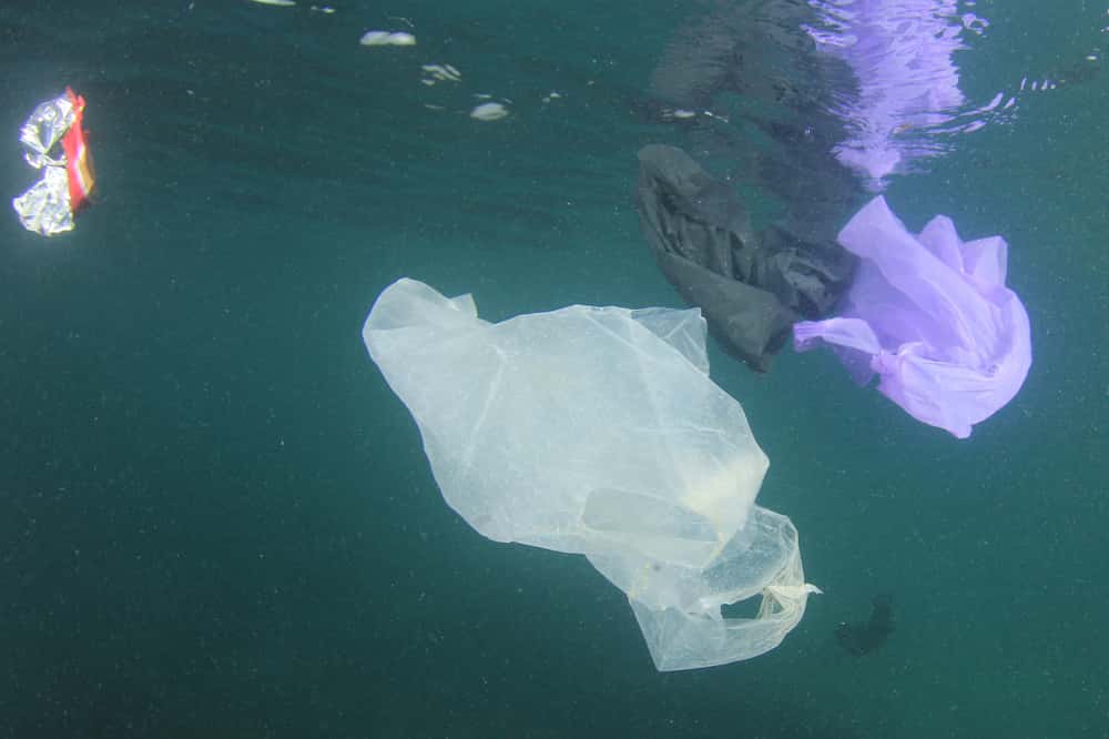 Underwater Diving Facts