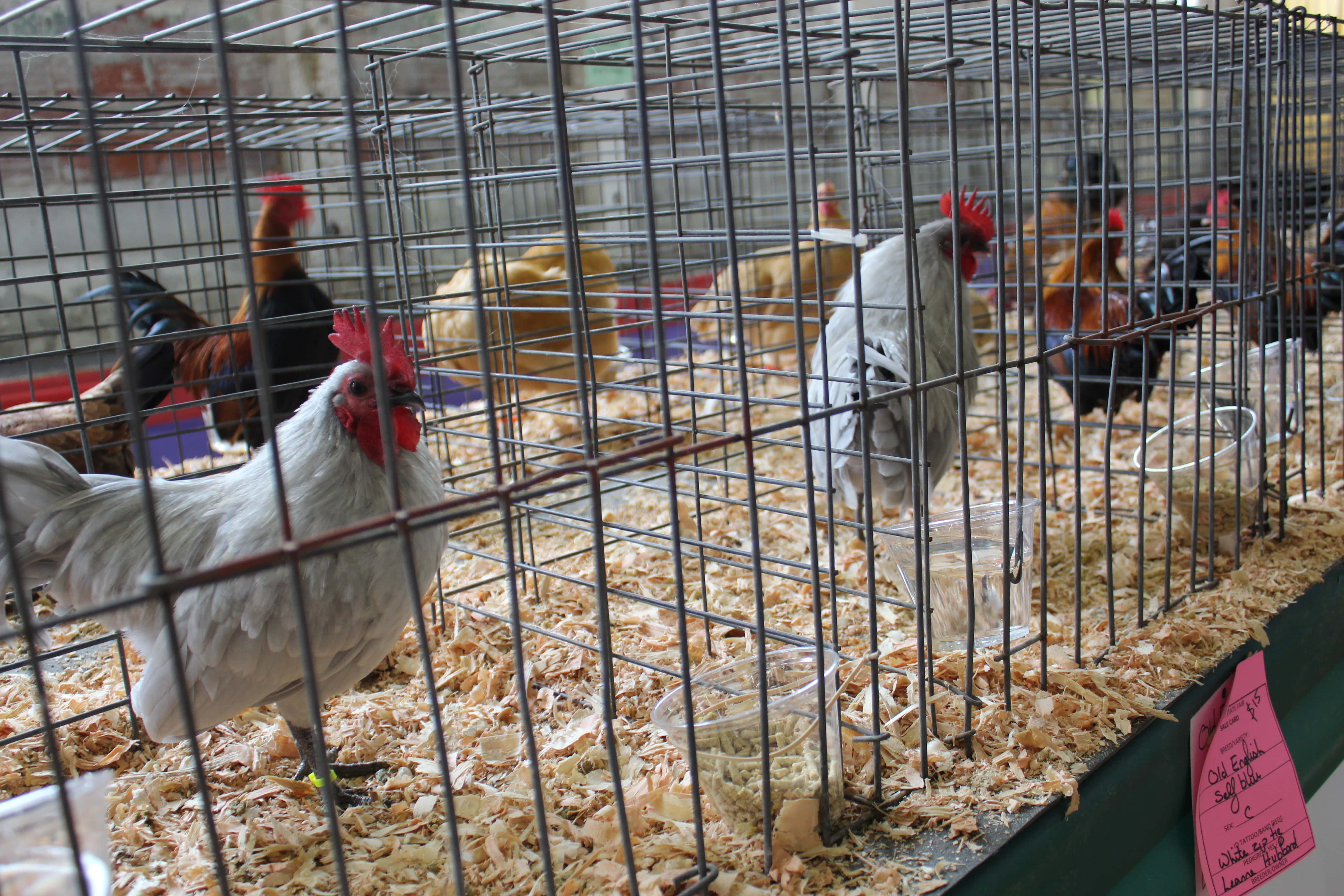 Shocking Things In Other People’s Homes facts