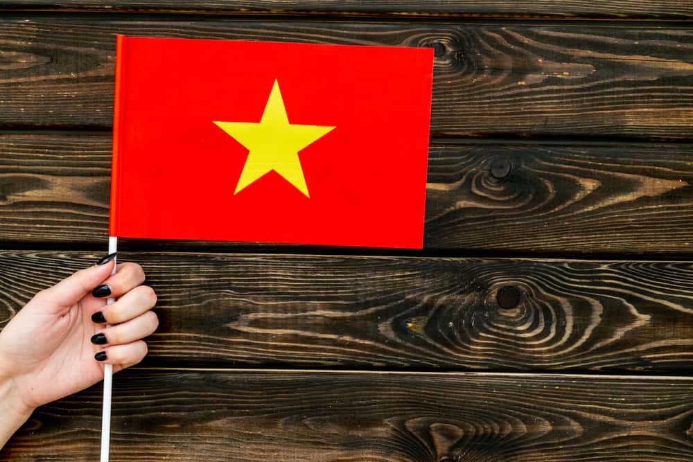 Stupidest Comments Facts