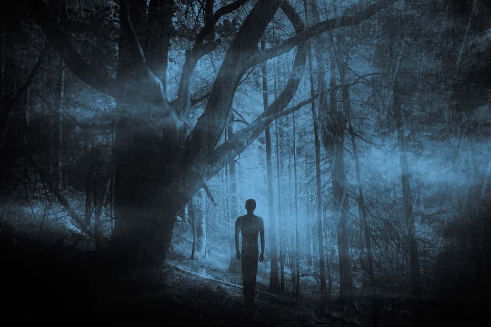 Late Night Hikers Facts