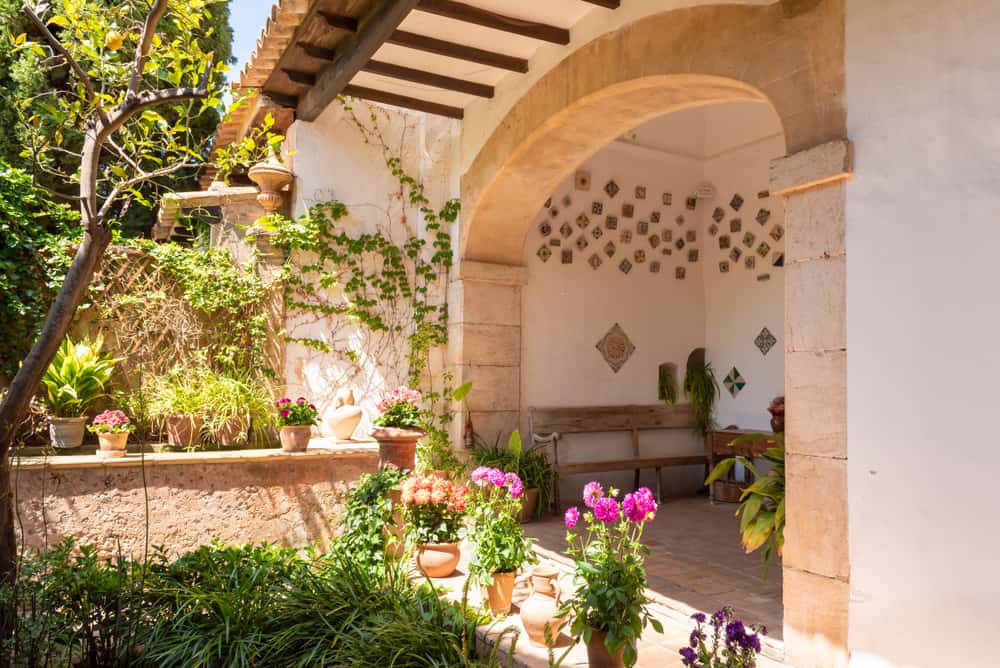 Frederic Chopin Facts