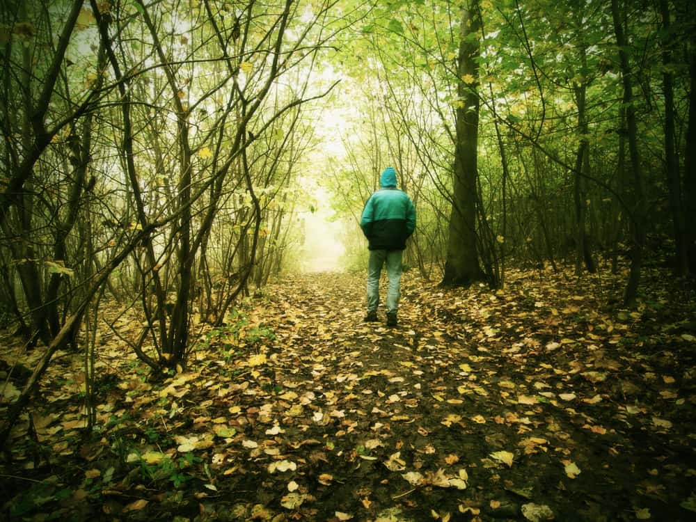 Late Night Hikers Facts