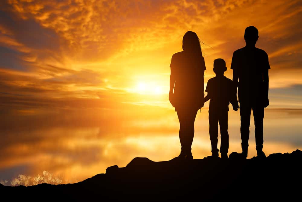 Favorite Childhood Memories Facts