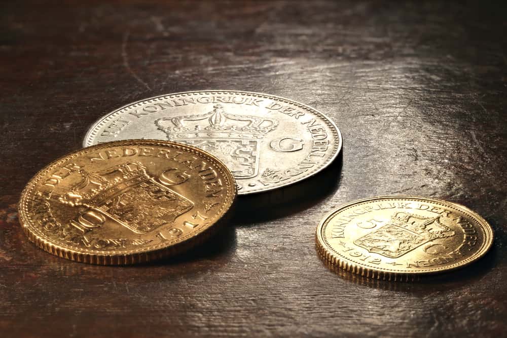 tulip mania editorial