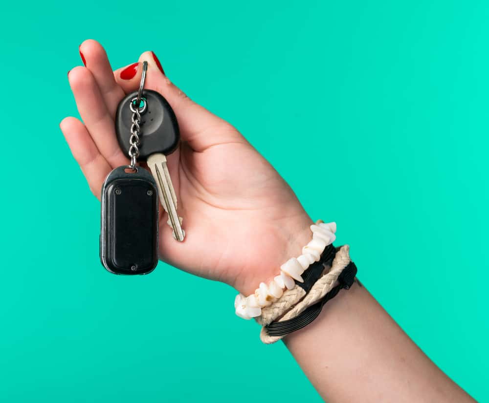 Shouldn’t Have Done That Facts