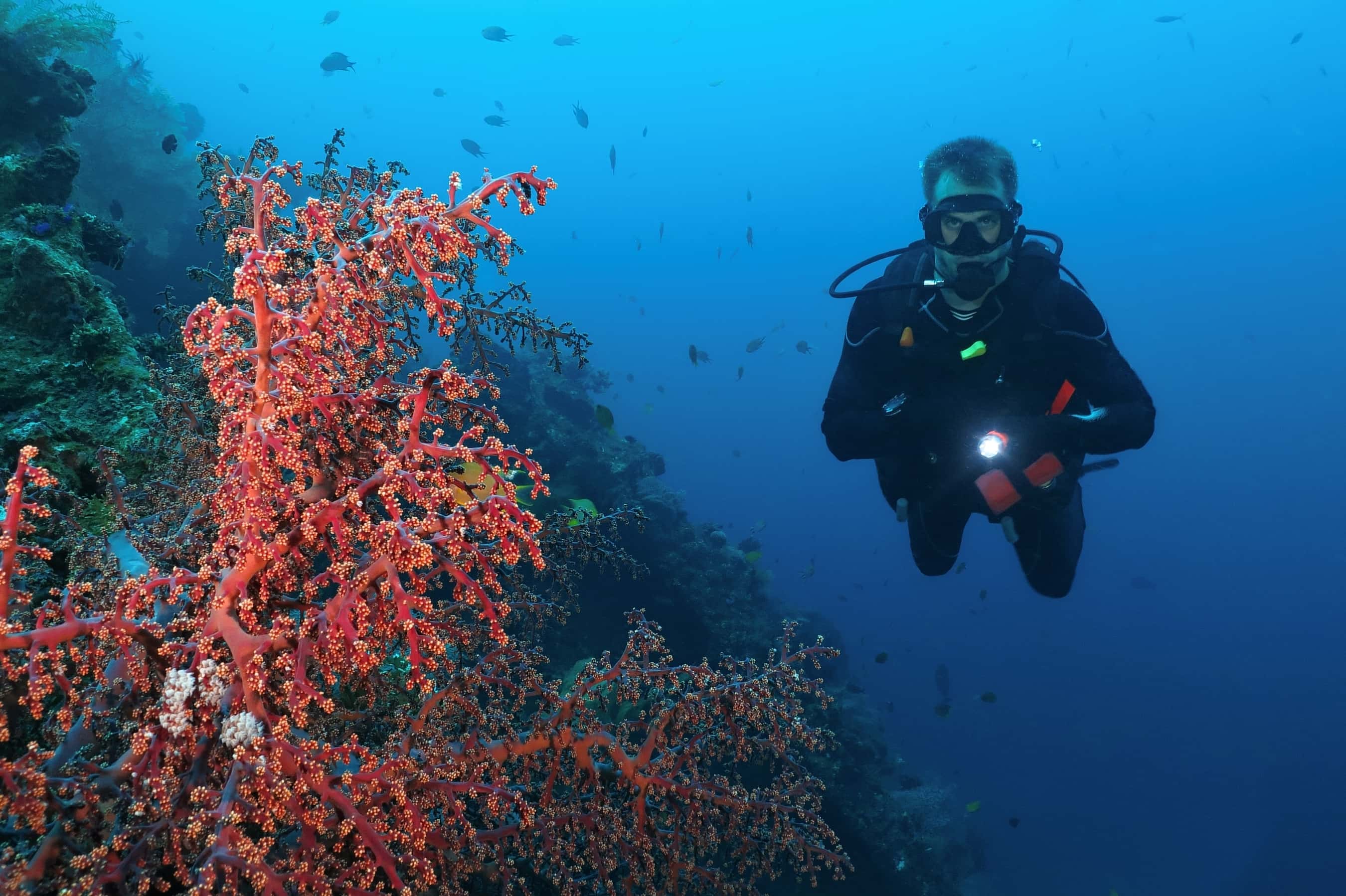 Underwater Diving Facts