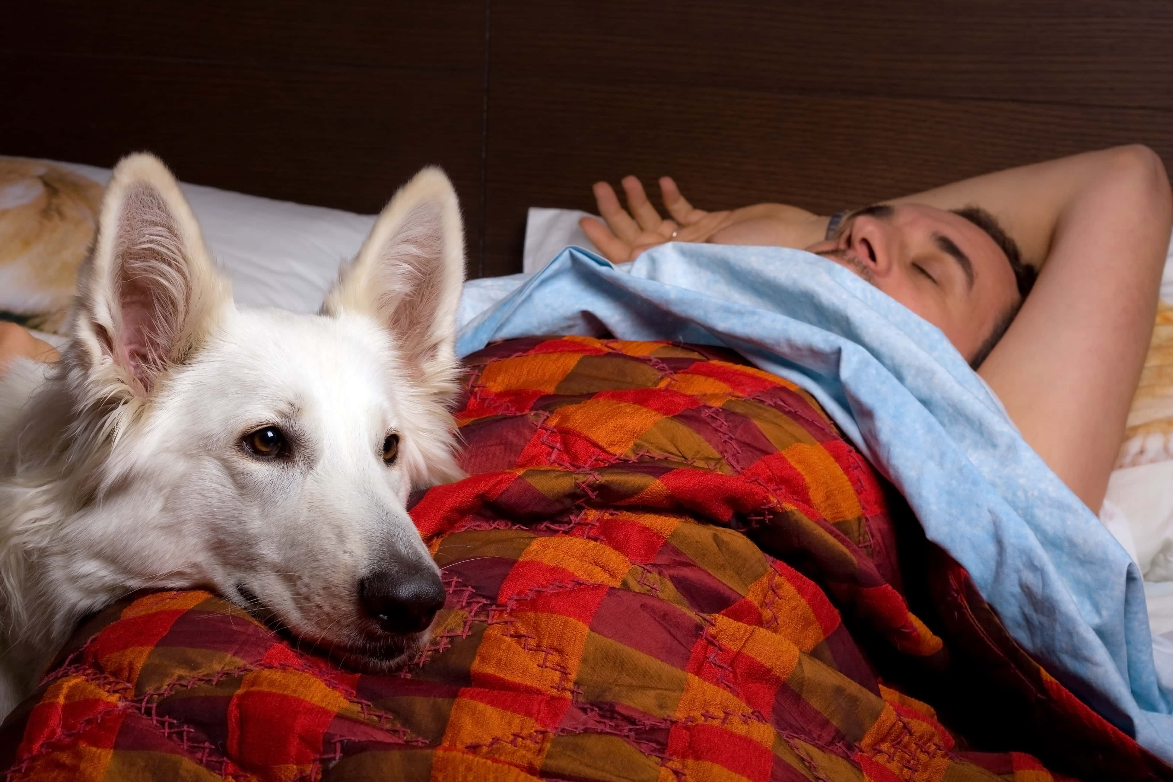 Animals’ Biggest Power Moves Facts