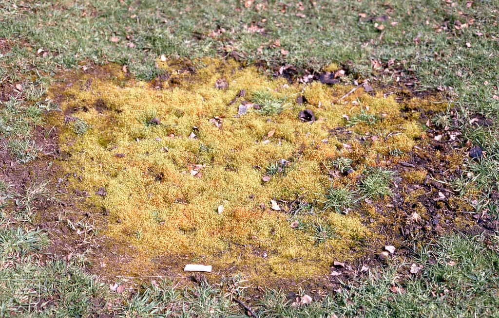 Creepiest Thing They Have Ever Seen Facts