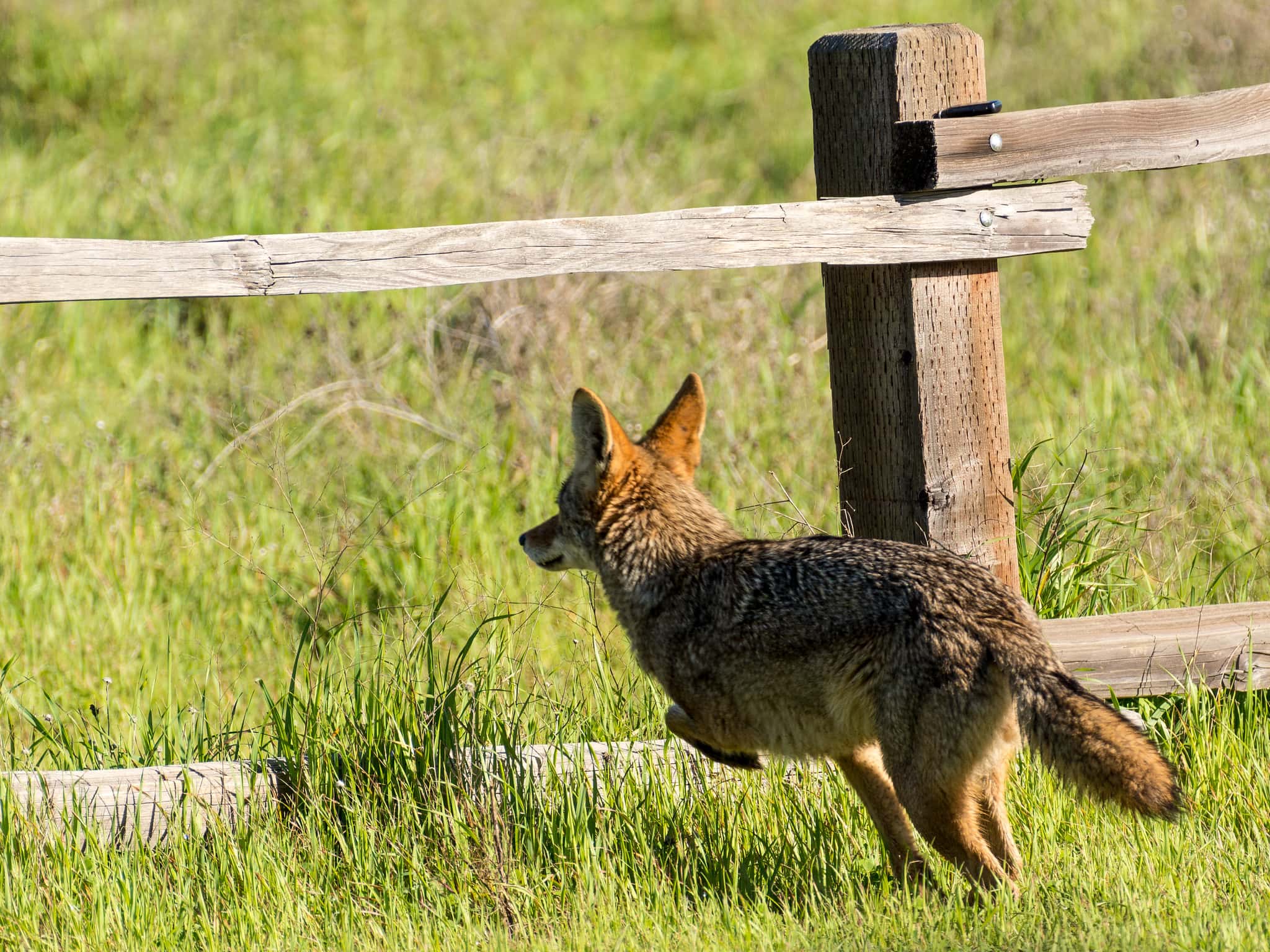 Thought Were Lies But True Facts