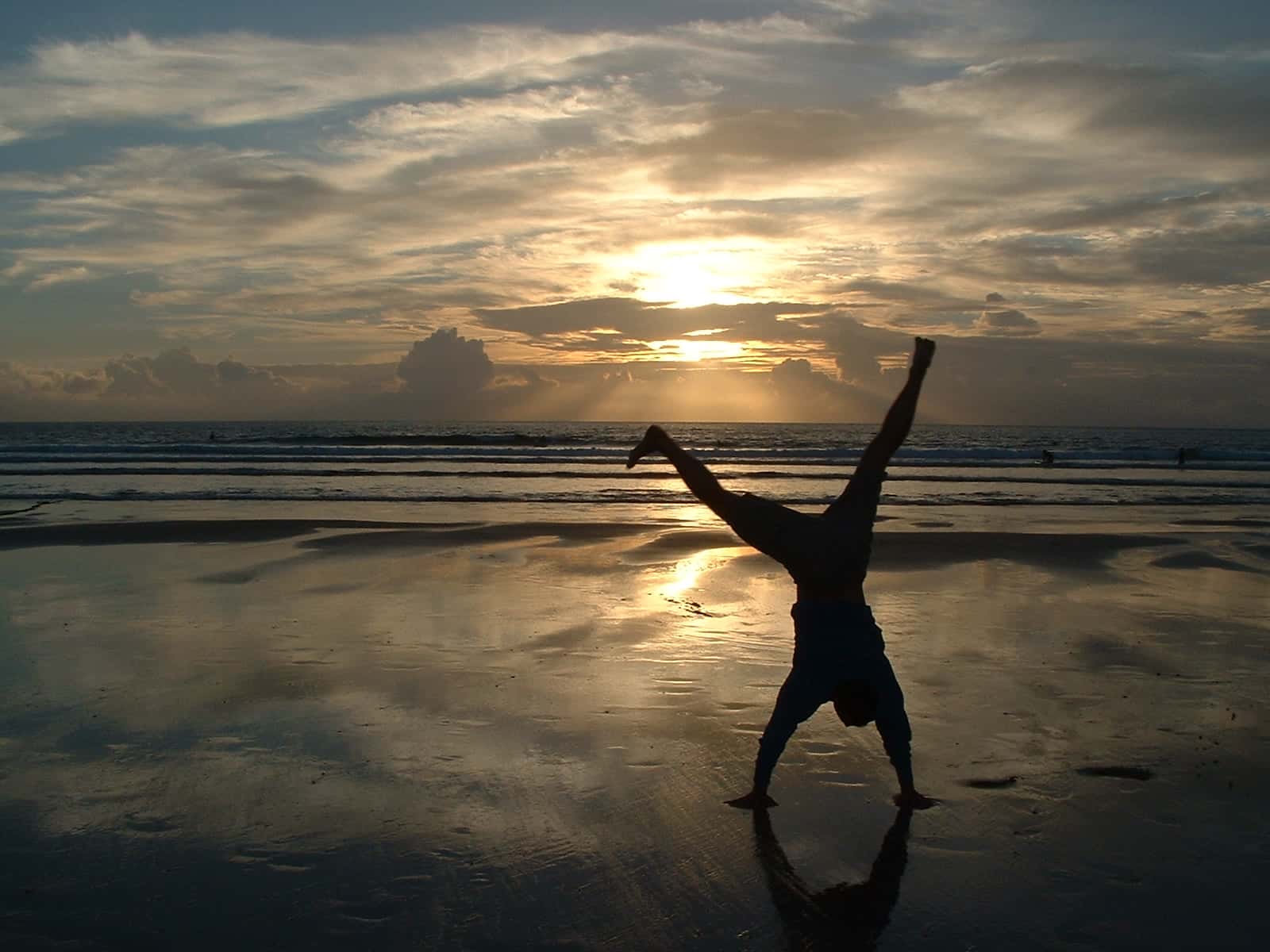 Thought Were Lies But True Facts