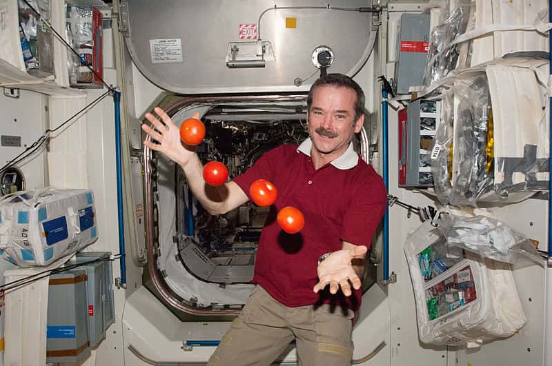 Chris Hadfield Facts
