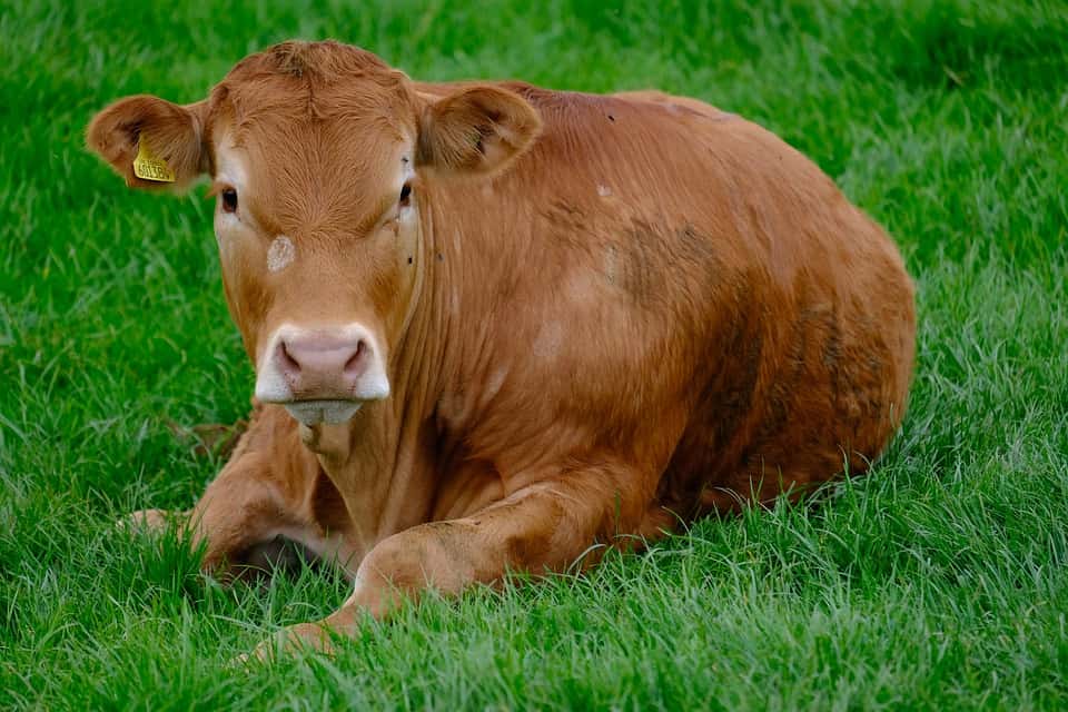 Unsolved Mysteries Facts