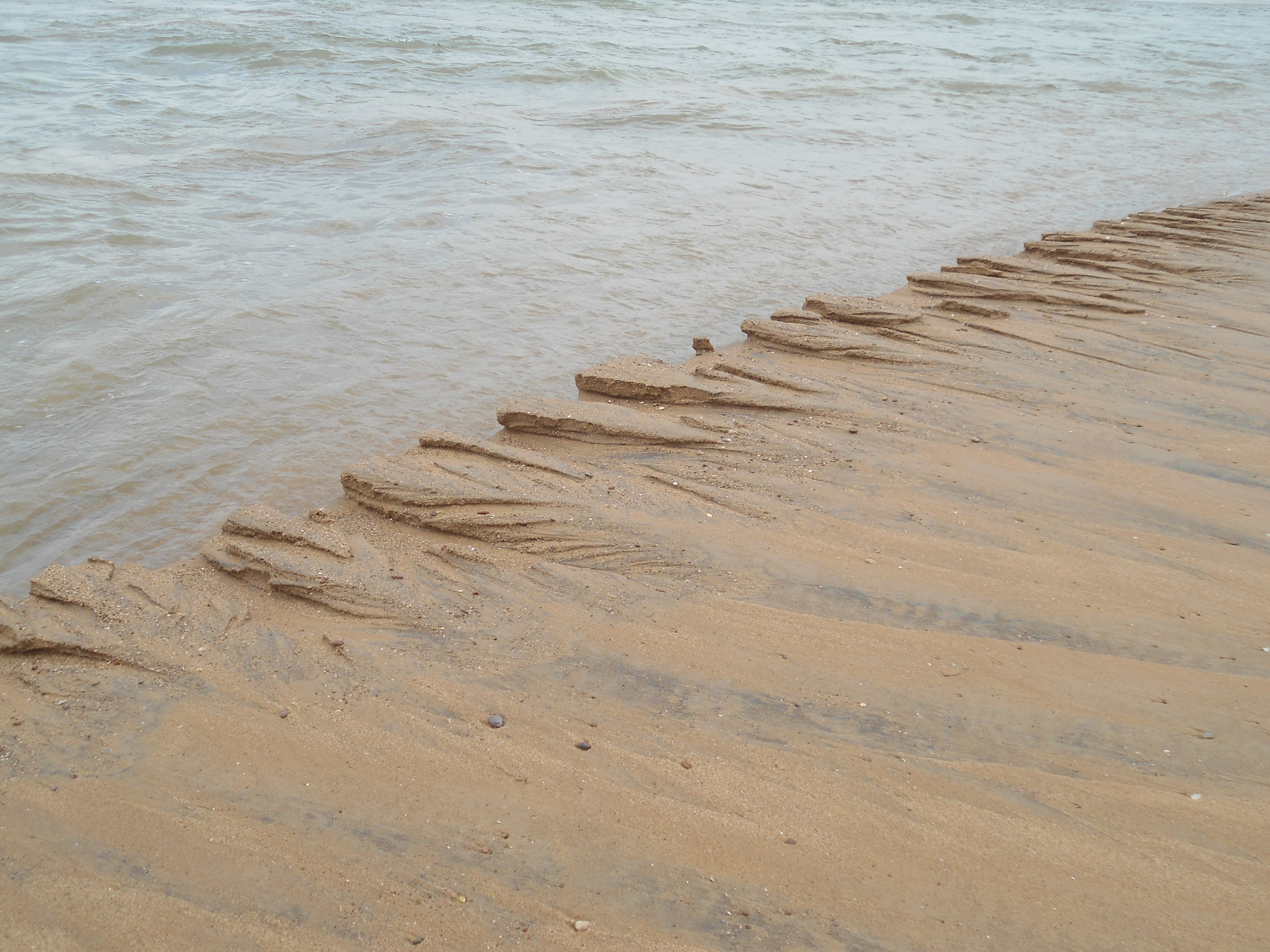 Thought Were Lies But True Facts