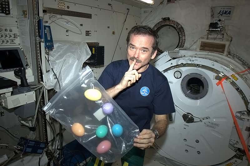 Chris Hadfield Facts
