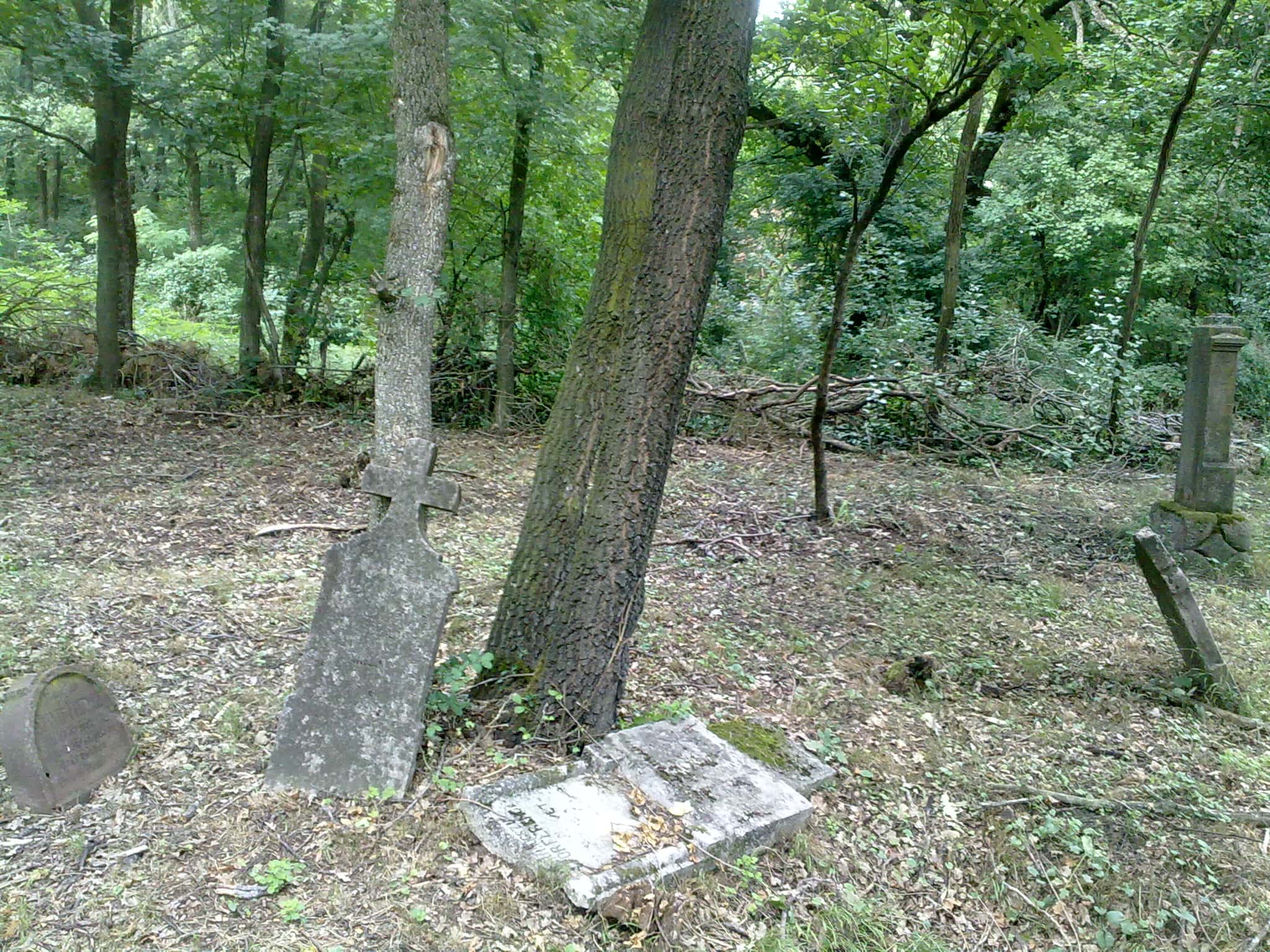 Abandoned Places Facts