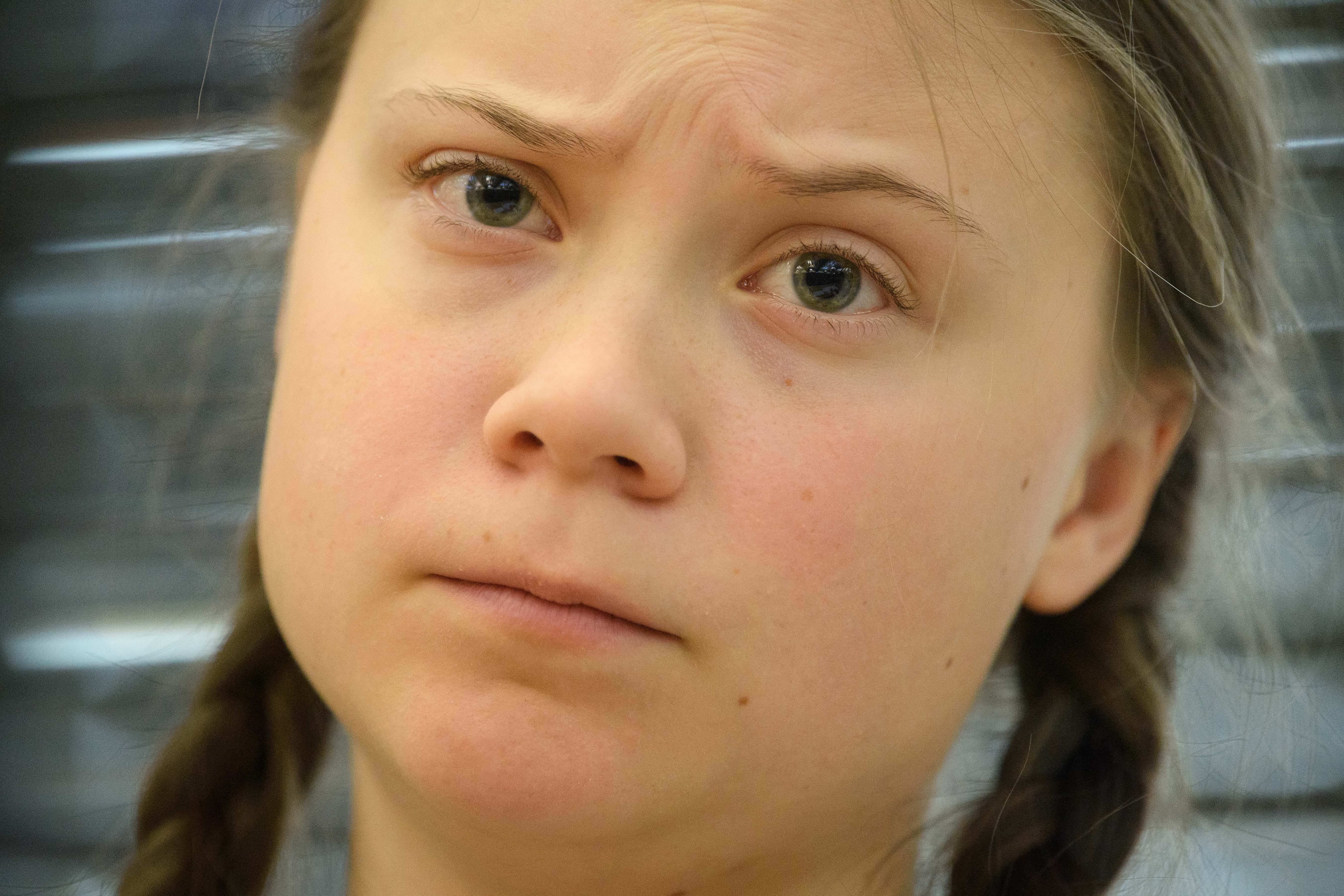 Greta Thunberg facts