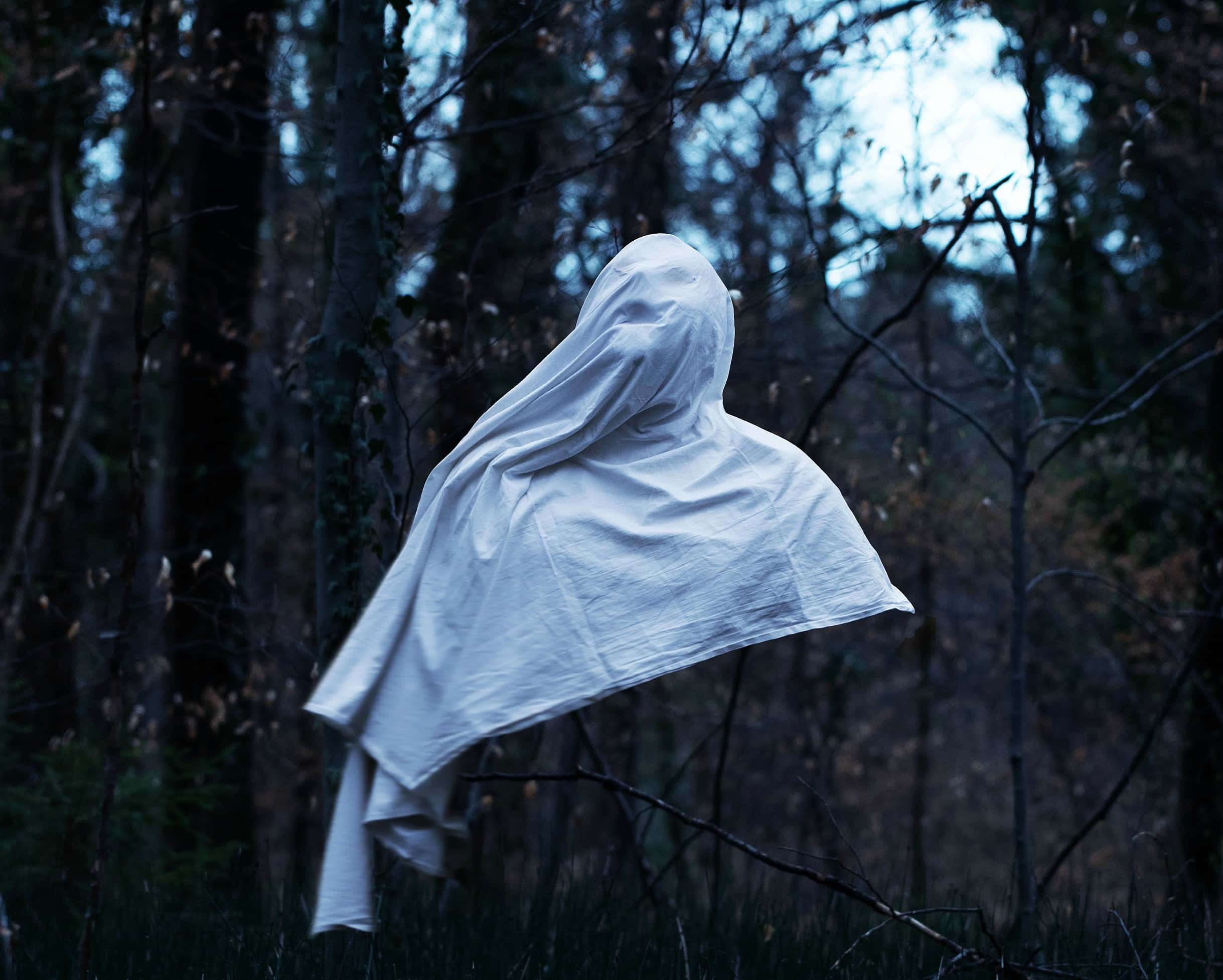 Nature-Walking Encounters Facts