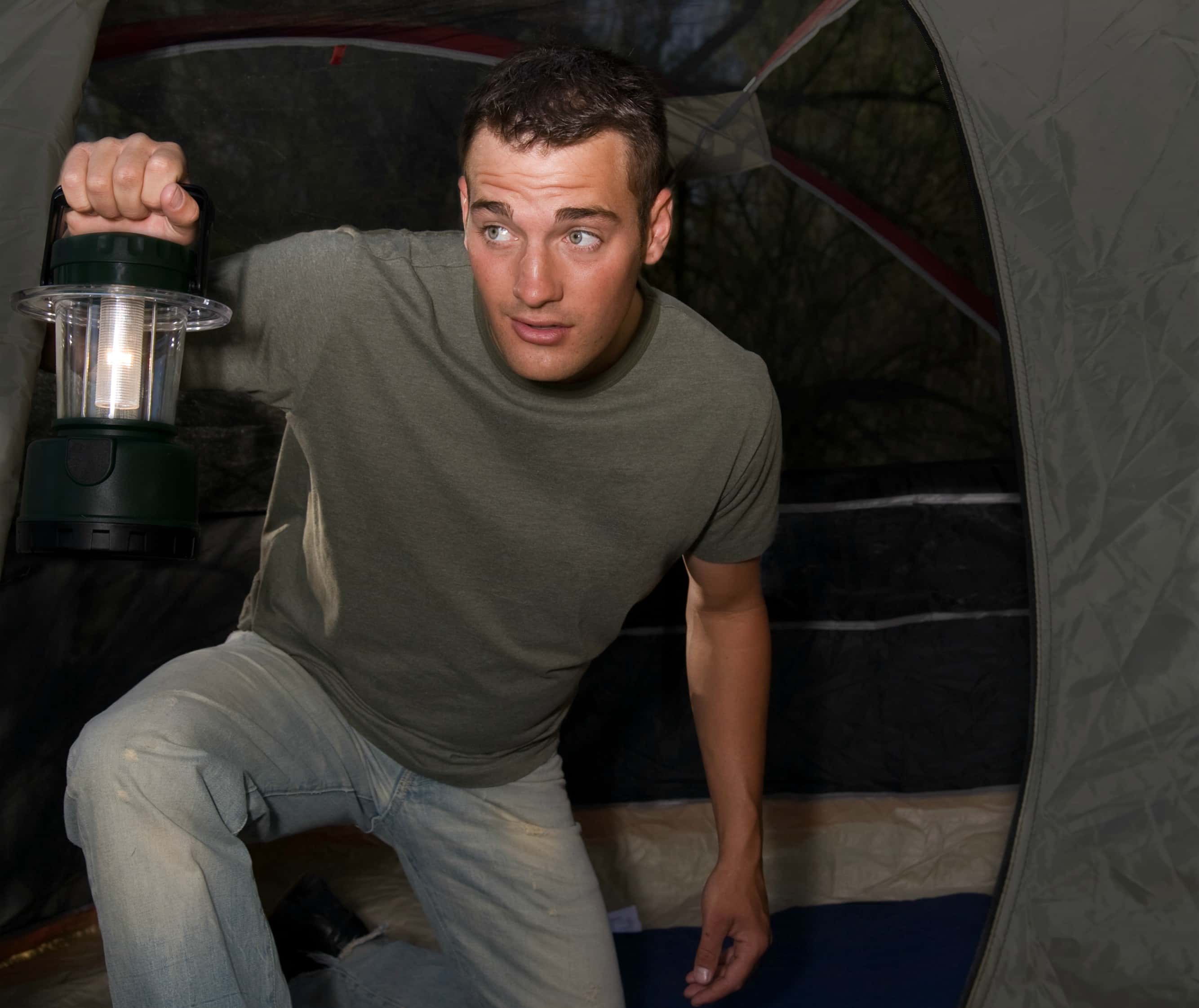 Nature-Walking Encounters Facts