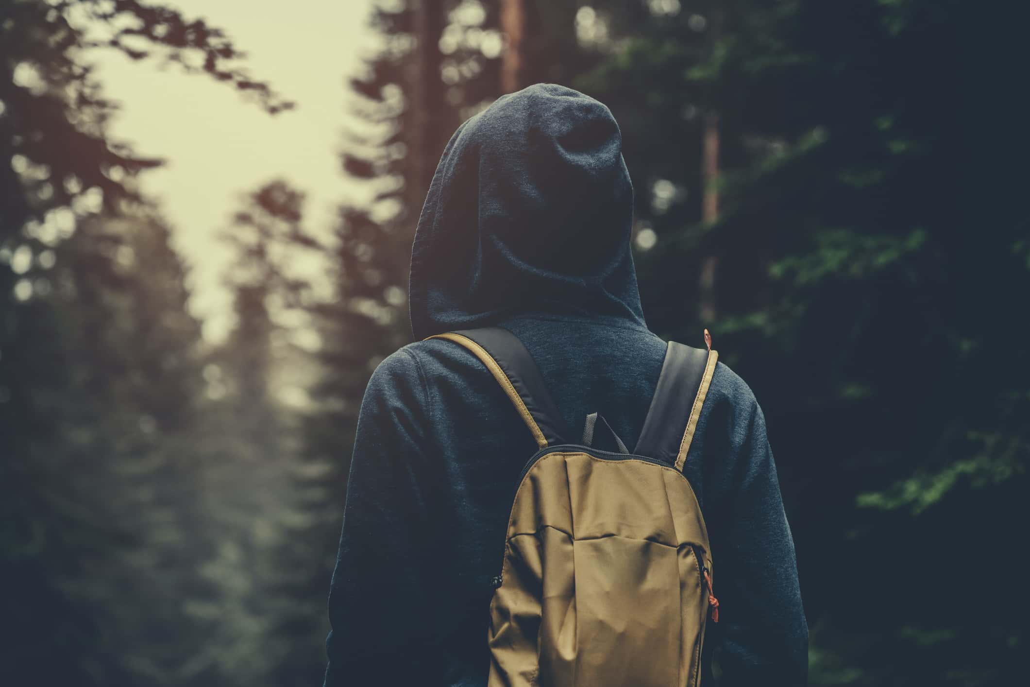 Nature-Walking Encounters Facts