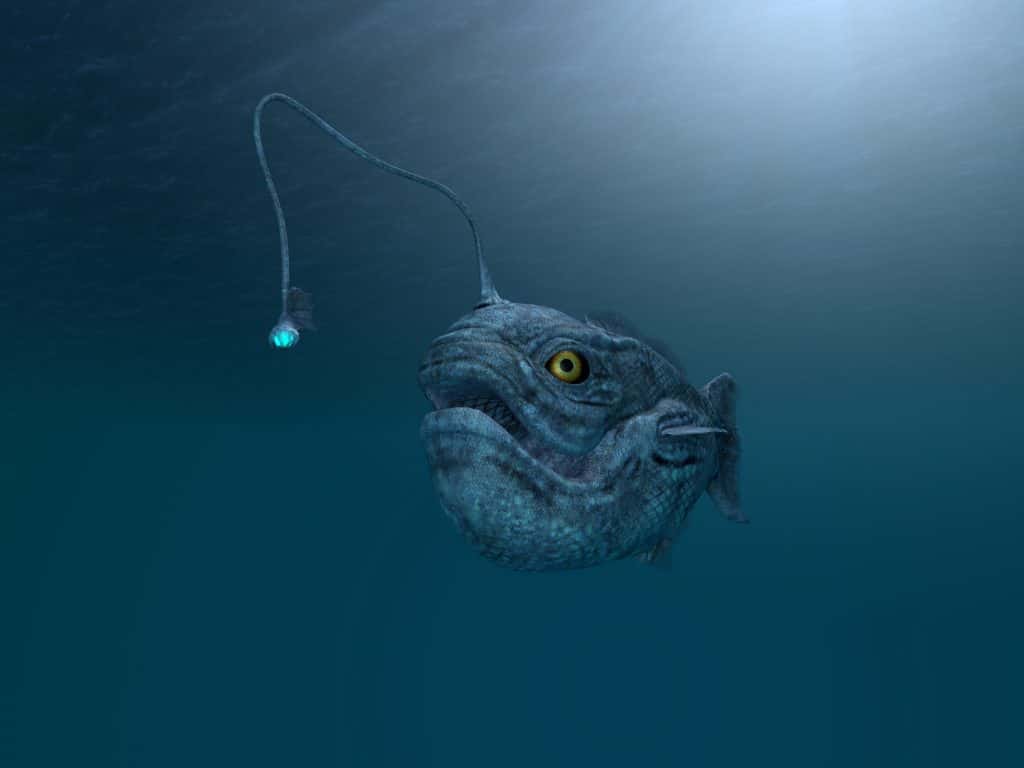 Terrifying Ocean Facts That Will Make You Re-think Ever Swimming Again