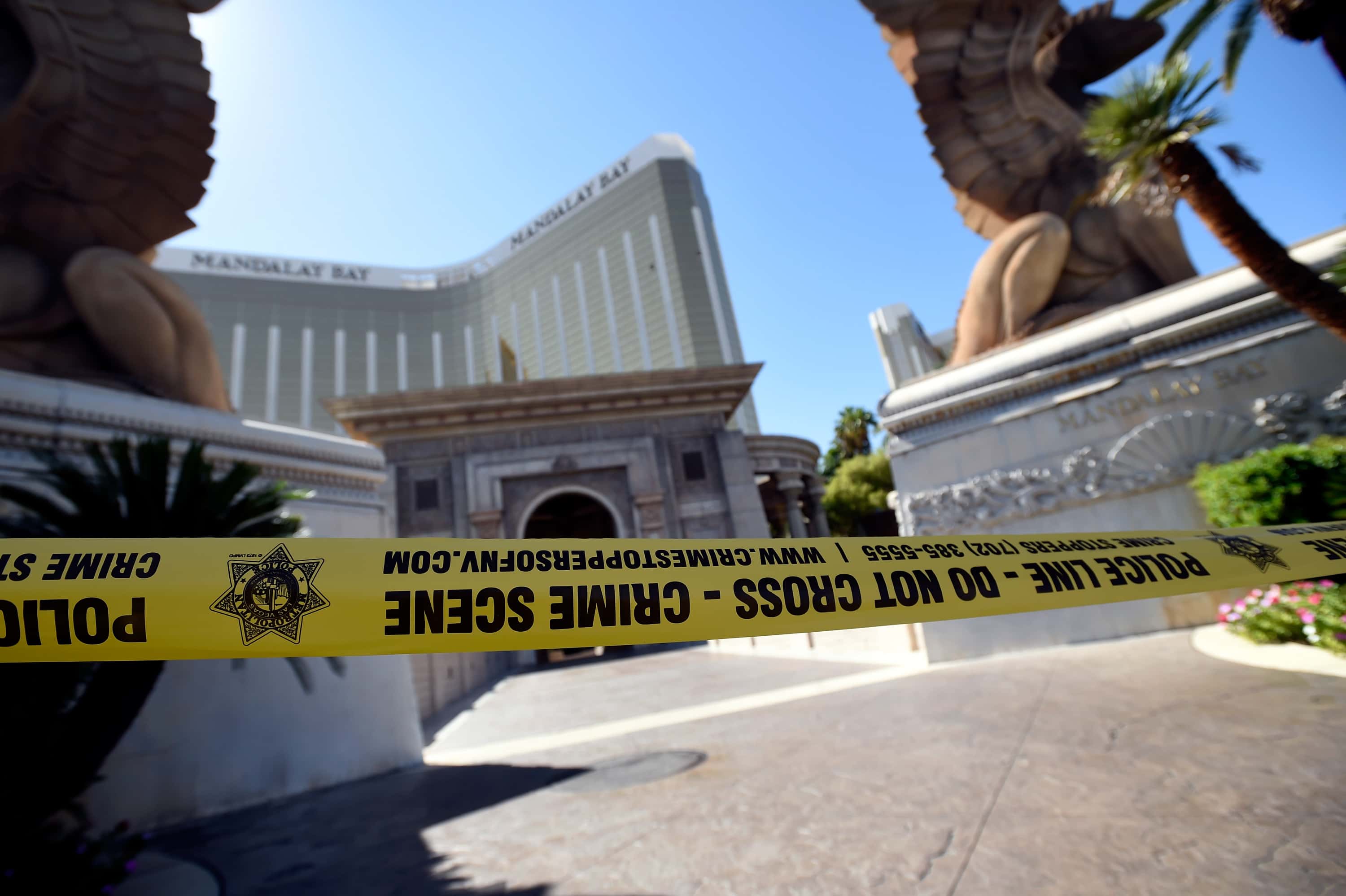 Thought Were Lies But True Facts