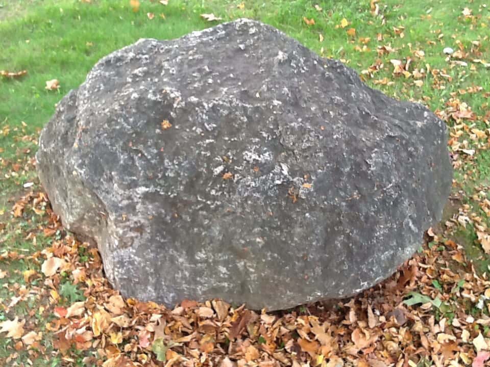 Creepiest Thing They Have Ever Seen Facts