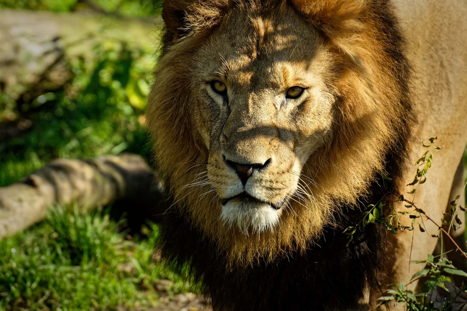 Terrifying Camping Experiences facts