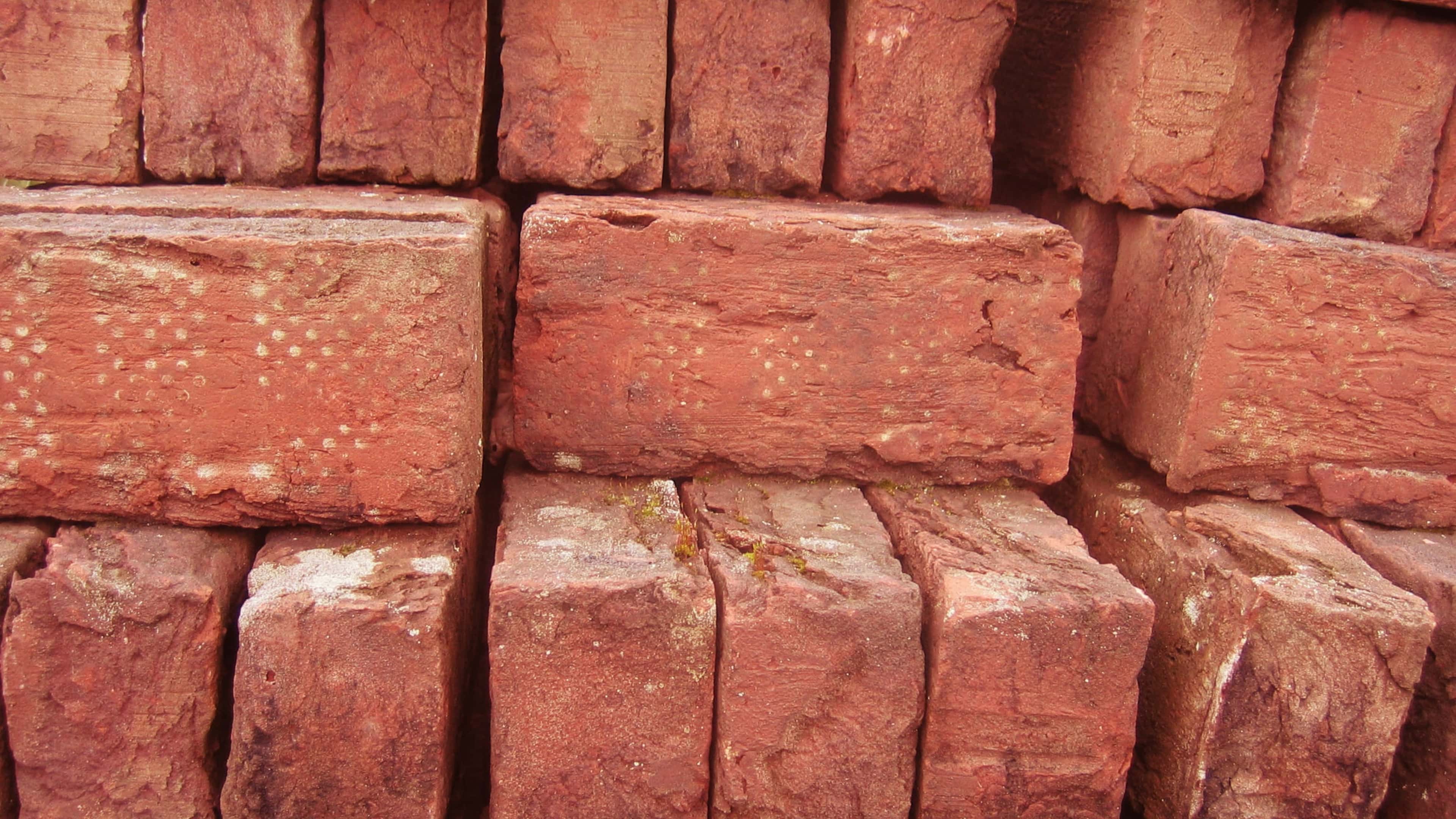 Cheap Buy That Worked Out Well facts