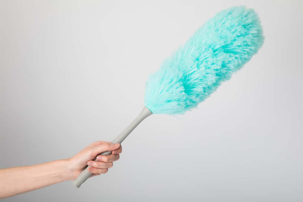 Learned Too Late in Life facts