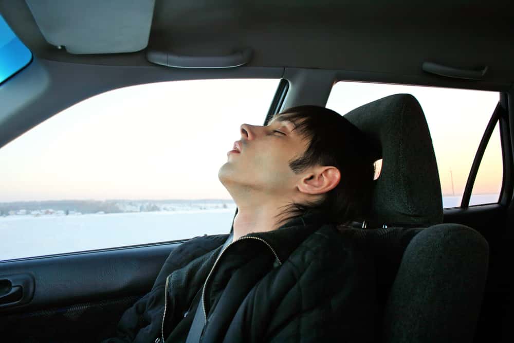 Student Driving Test Nightmares Facts