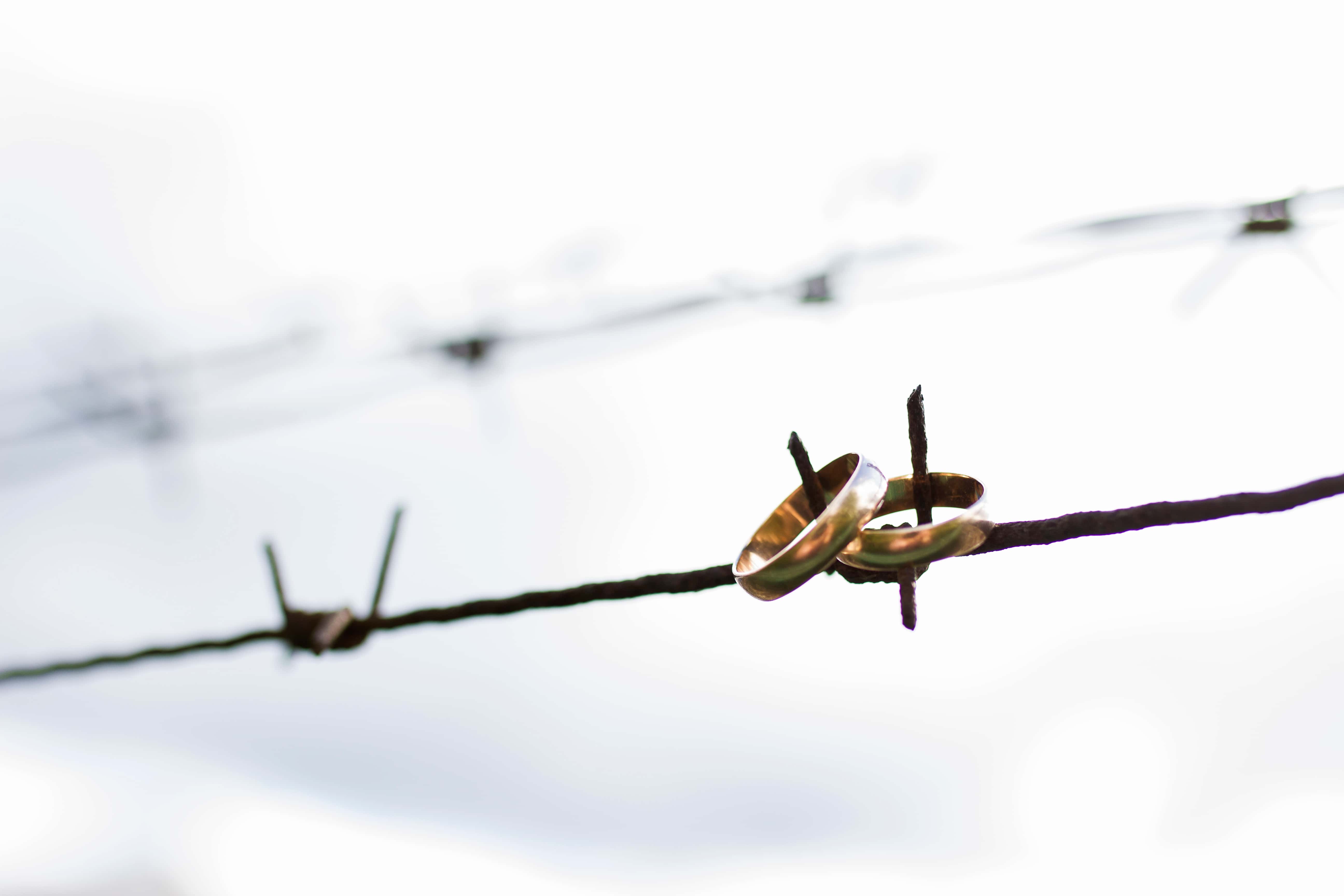 Dante Alighieri Facts