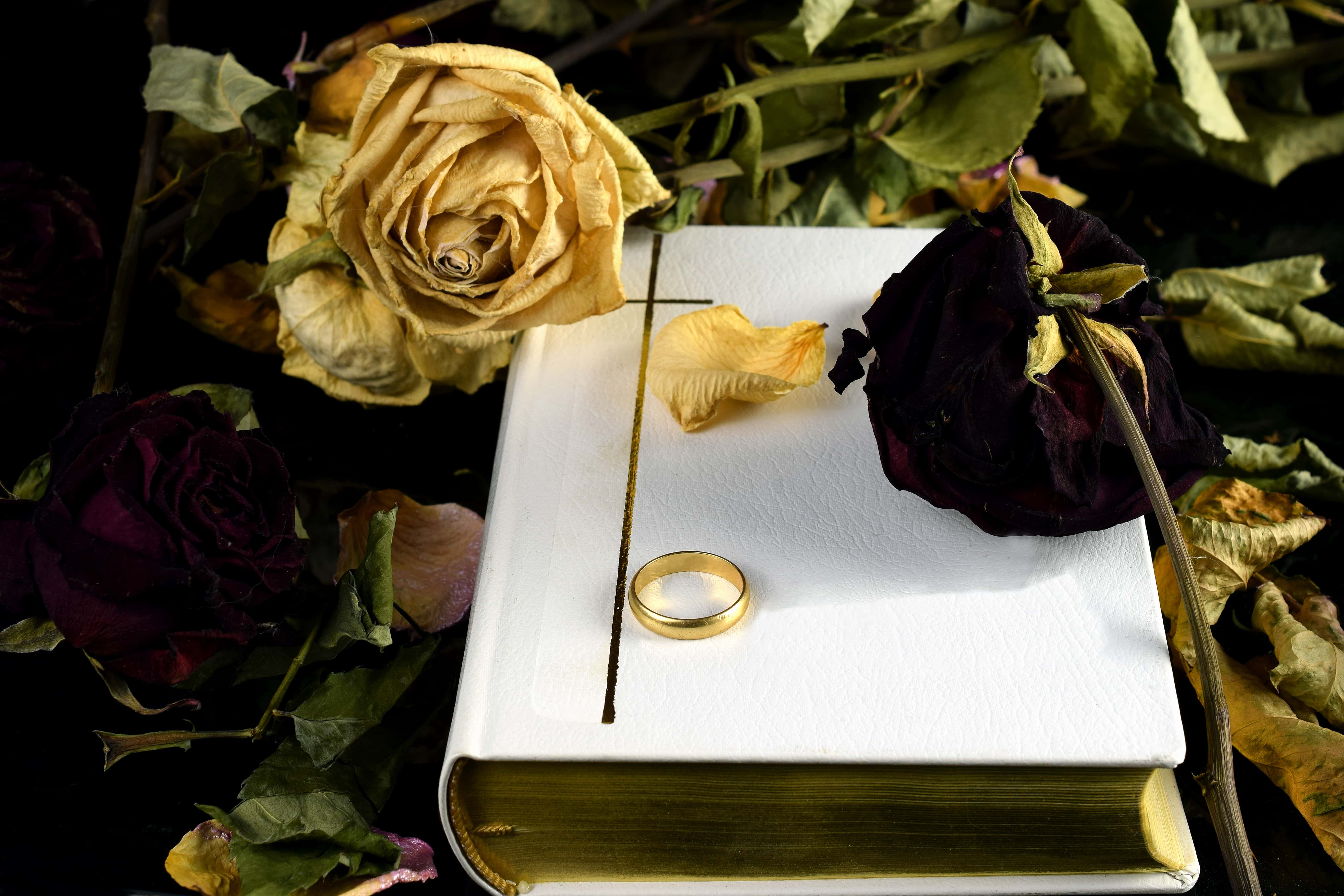 William Randolph Hearst facts