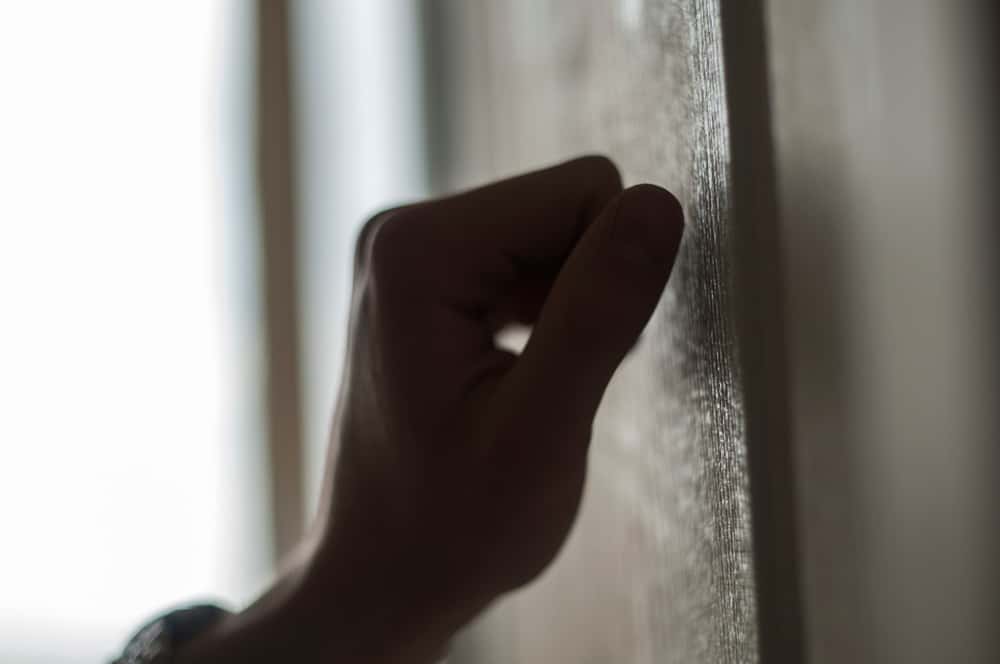 Overheard Neighbours Facts