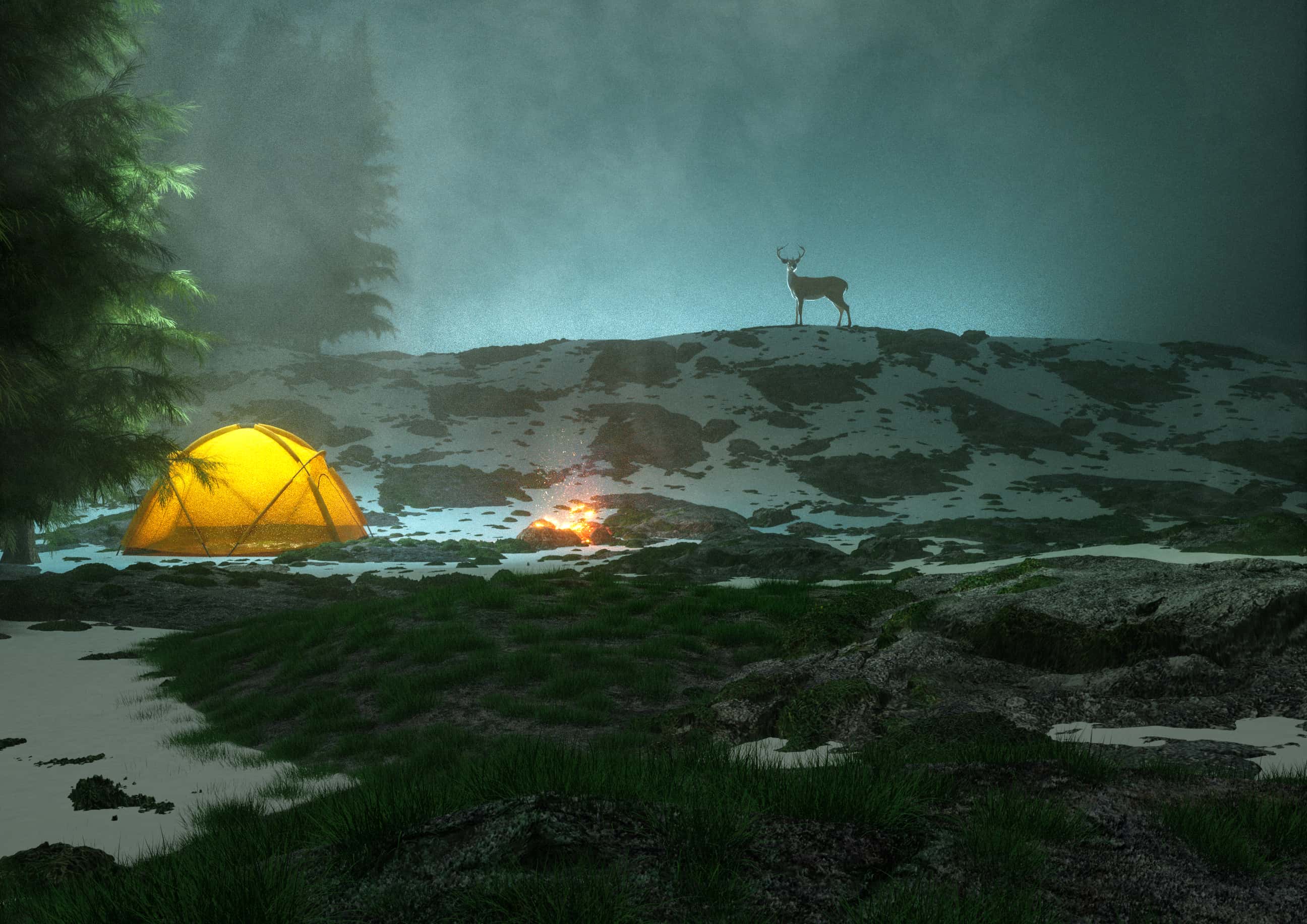 Terrifying Camping Experiences facts