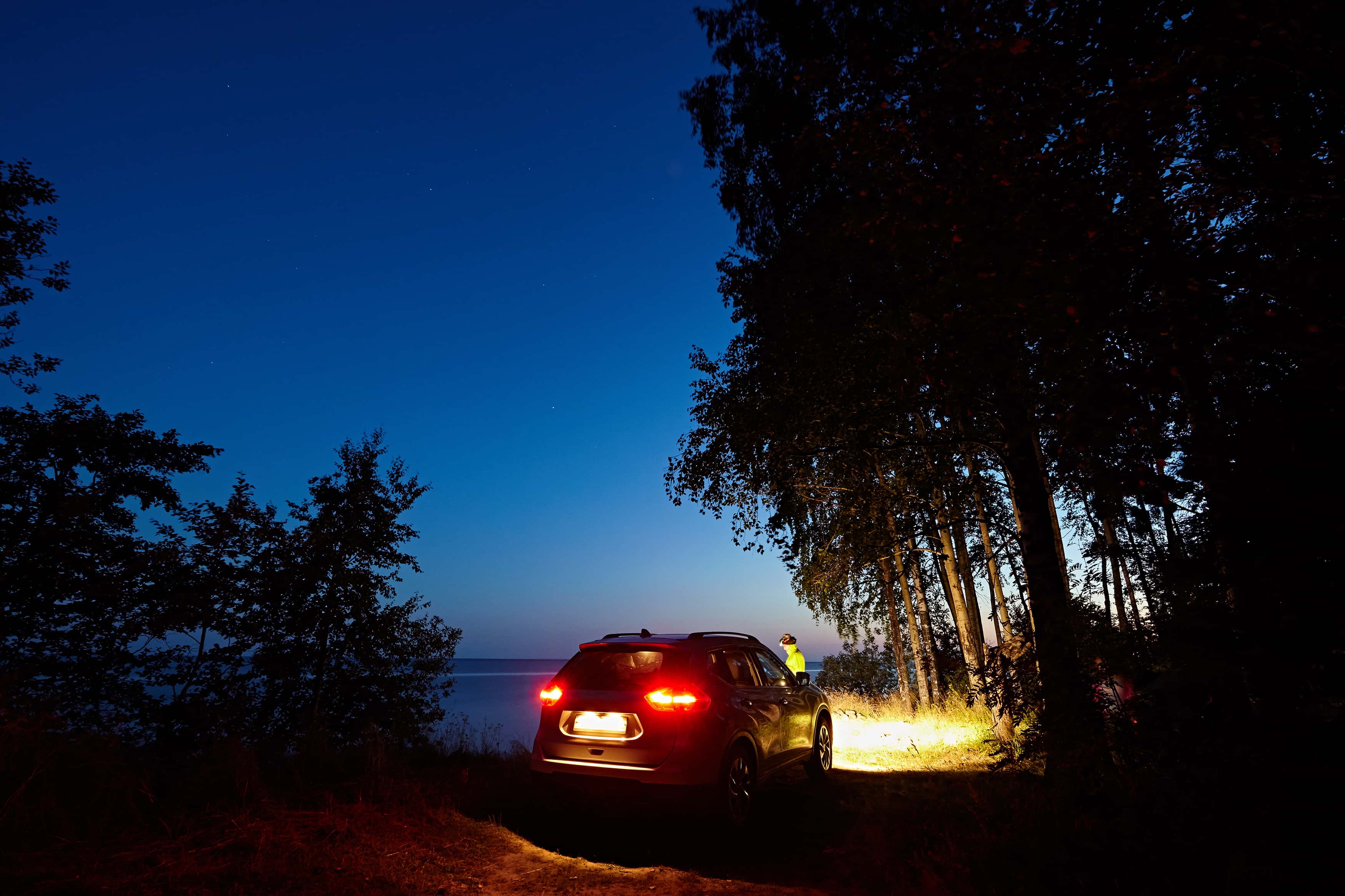 Nature-Walking Encounters Facts