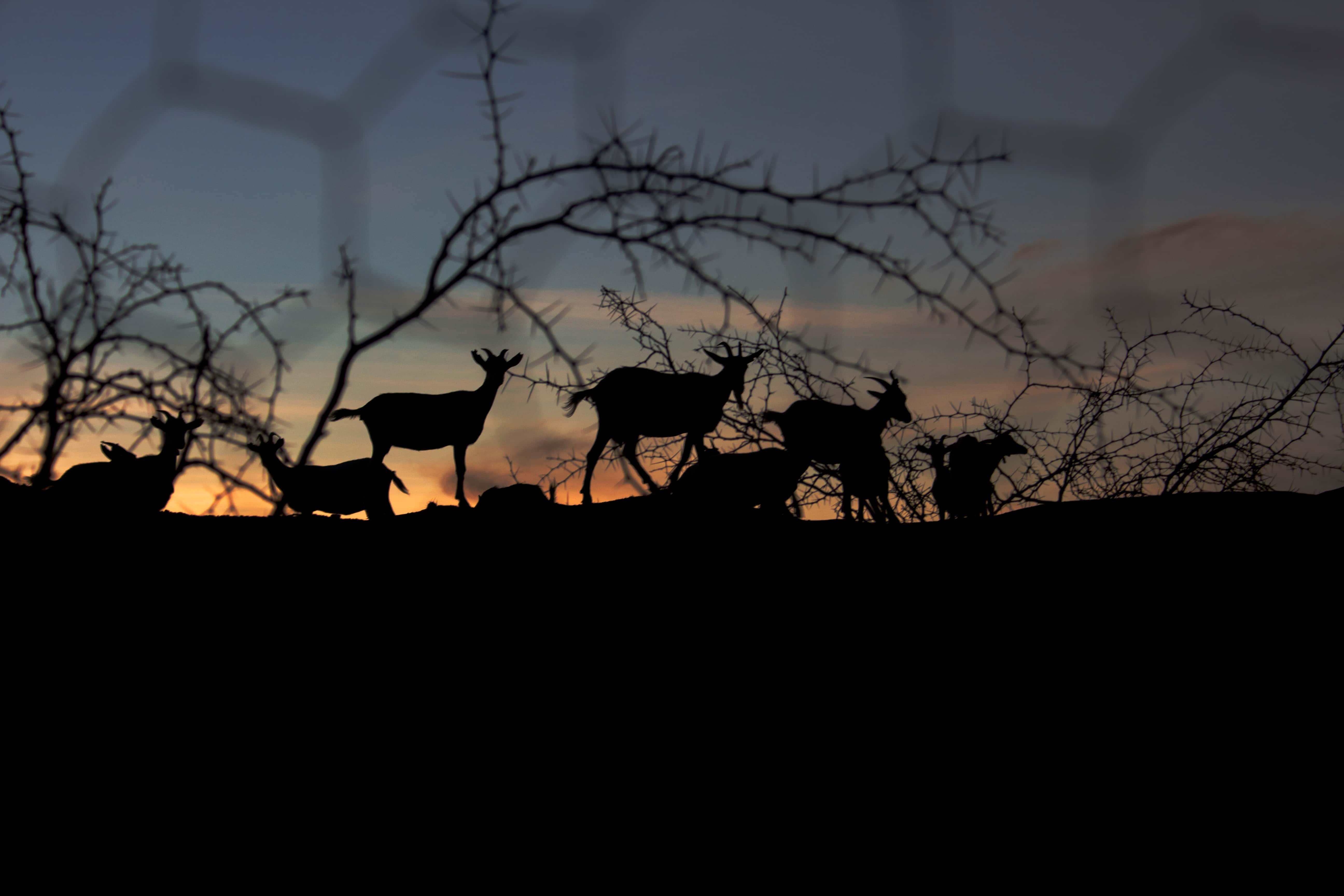 Terrifying Camping Experiences facts