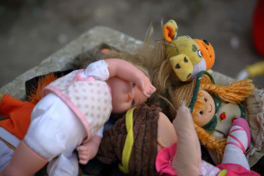 Weird Flex Kids Facts