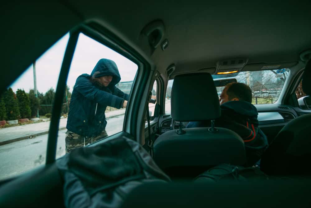 Almost Kidnapped Facts