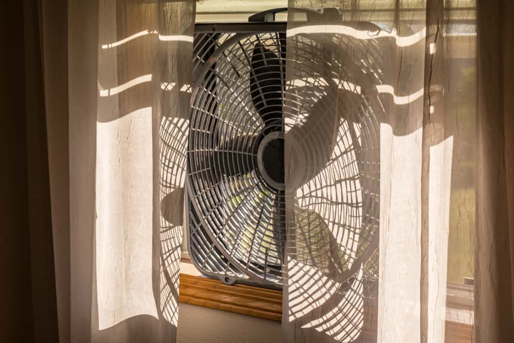 Cheap Buy That Worked Out Well facts