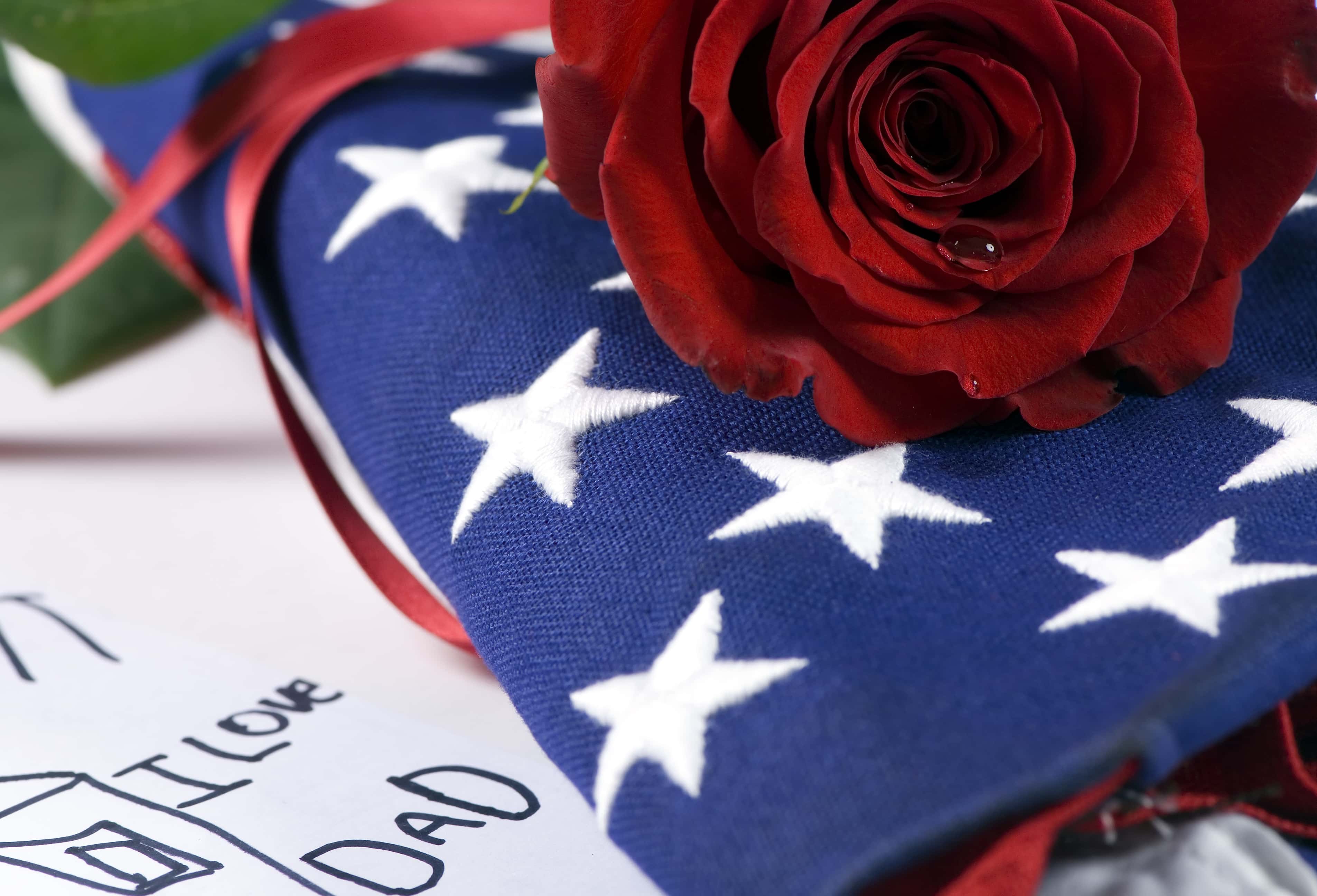 Airport Goodbyes Facts